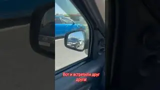 Вот и встретили друг друга! #automobile #нарушениепдд #дтпичп #полиция #прикол #нарушители #авария