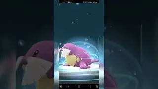 Shiny Spheal to Walrein Pokemon Go #shorts #short #PokemonGo
