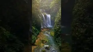 whatsapp status song | natural song | natural status #shorts #niik_vlogs