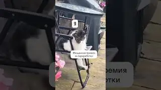 Отлично, я давно это хотел 🙌🏼