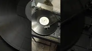 ария 5303
