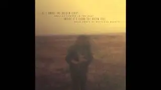 Aural Method - The Golden Light Swelled Somber in the East