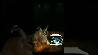 спасибо!спасибо! спасибо! шайлушай.