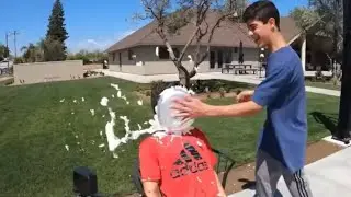 Pie to the face (34)(males pied)