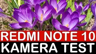 Redmi Note 10 Kamera Test