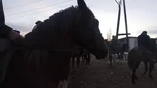 8 февраля 2021 г.
