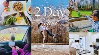 2 Day Vlog | Drive Through Safari + Mom Life