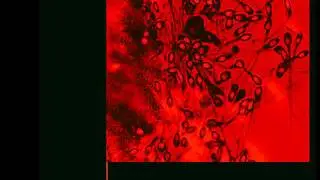 400 blows - The Sore Thumb