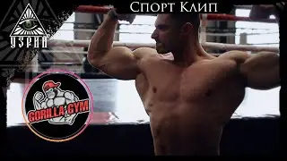 Спортивный клип для тренера Gorilla Gym