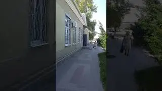 Такое только в Лисках