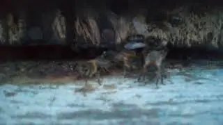 Потери составили более 2 процентов