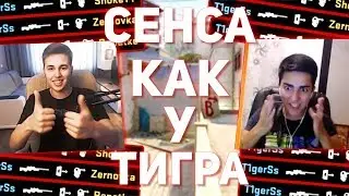 СЕНСА КАК У ТИГРА (Канал Шока, ZERNOVKA, Renatko) // ЮТУБЕРЫ ИГРАЮТ С БОЛЬШОЙ СЕНСОЙ
