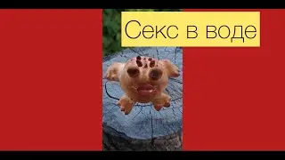 Что нужно знать о сексе в воде?