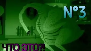 БЕЗГОЛОВАЯ КУРИЦА!BULB BOY. N°3.