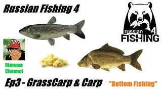 Russian Fishing 4 - Ep3 - Grass Carp & Carp - Old Burg Lake