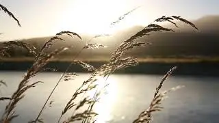 китайская музыка гучжэн и бамбуковая флейта | Beautiful Chinese music 4k