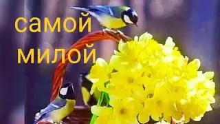 Самое милое поздравление с 8 Марта.Видео открытка.