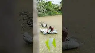 El lago del caimán