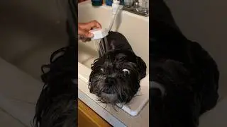 Bath Time🐶