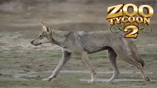 Zoo Tycoon 2: Indian Wolf Exhibit Speed Build
