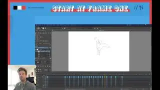 2D Animation Insights