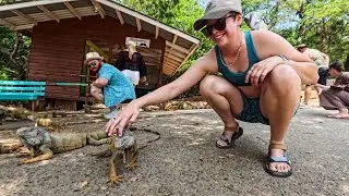 Roatan Adventure Tours