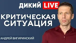 Какой поп, такой и приход… Андрей Вигиринский. Дикий LIVE