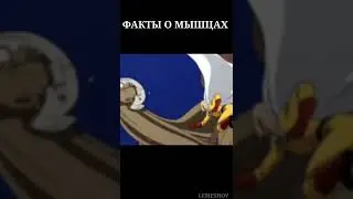 Факты о мышцах