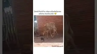 Arkadaşıma anlatsam inanır mı acaba 😁😁😁