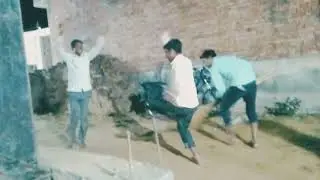 गली गली में pukka डोले कहां है हमें एक बीडी देदो #video#dance#song#viral#comedy #trending#singh