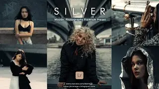 How to edit moody silver tone in Lightroom & free preset download | silver Lightroom preset 2023