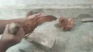 P5 Hidup Berkelanjutan | Bagian 1 - Membuat Sisir Sepet