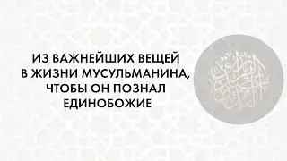 Из важнейших вещей в жизни мусульманина, чтобы он познал единобожие | Шейх Абдурраззақ аль-Бадр
