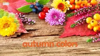 autumn colors
