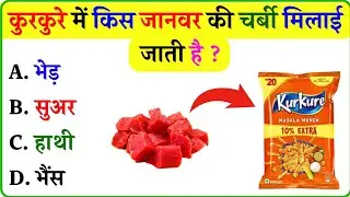 कुरकुरे में किस जानवर की चर्बी मिलाई जाती है ll Gk In Hindi ll General knowledge ll Gk Questions