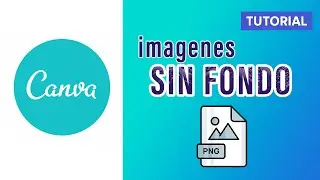 How to SAVE images WITHOUT a background in CANVA (PNG format step by step)