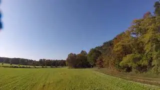freestyle