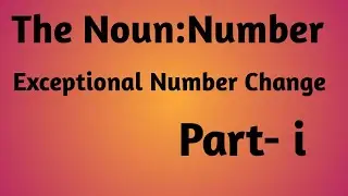 Noun: Number Change in Exceptional Cases