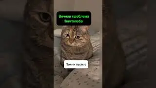 #юморкниголюба #booktok #книги #шутки #книжный  #юмор