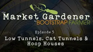 Low Tunnel, Cat Tunnel, or Hoop House? Which Structure Type Does Your Farm Need?