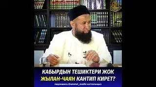 Кабырдын тешиктери жок жылан-чаян кантип кирет?  Шейх Максатбек ажы устаз