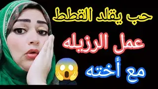 شاف القطط بتعمل رزيله 😱فى الشارع ولما روح البيت حب يقلدهم مع 👈 اخته والنهايه ضرب نار
