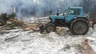 Мтз 82, на делянке по валежнику