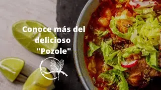 Conoce la historia y características del 