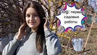 Vlog: первые садовые работы в этом году  . Сезон 2024