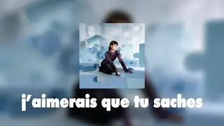 Zélie & Jok'air - j'aimerais que tu saches (lyrics vidéo)