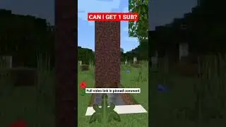 Minecraft secret House