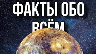 ФАКТЫ ОБО ВСЁМ