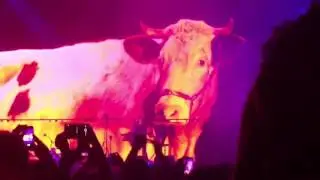 Depeche Mode - Enjoy the silence - Personal Jesus (Stade Pierre Mauroy Lille 29/05/2017)