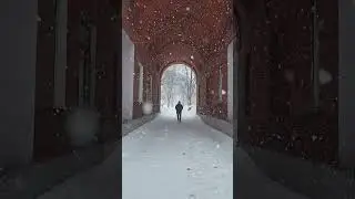 Снегопад в Москве 